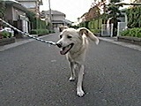 GCg ʐ^5