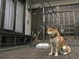 肭 ʐ^3