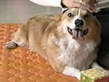 ͂ ʐ^2
