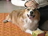 T[t ʐ^2