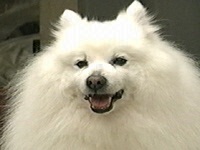 I ʐ^1
