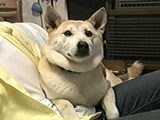 EF ʐ^5