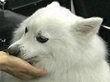 beB[ ʐ^3