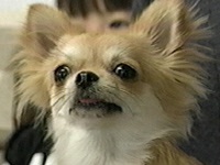 ܂ ʐ^1