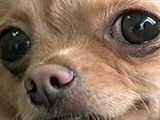  ʐ^5