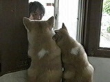 끕 ʐ^4