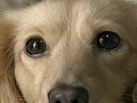 WA ʐ^1