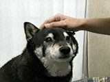 ܂ ʐ^3