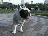 WFt[ 傤̂ ʐ^5