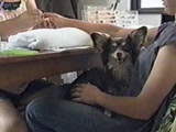 kd`iAj傤̂ ʐ^2