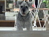 VITAir^j 傤̂ ʐ^3
