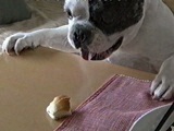 g 傤̂ ʐ^3