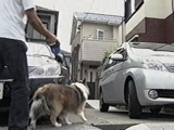 Pr 傤̂ ʐ^3