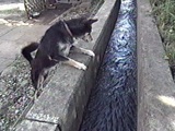 WbN 傤̂ ʐ^3