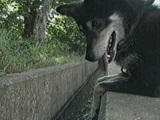 WbN 傤̂ ʐ^4