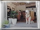 bnniN[j 傤̂ ʐ^3