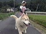 KNg 傤̂ ʐ^3