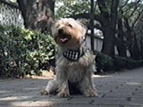 WbN 傤̂ ʐ^5