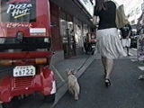PCeB 傤̂ ʐ^3