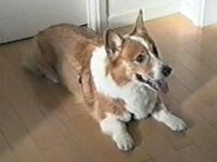 }bN 傤̂ ʐ^1