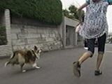 v 傤̂ ʐ^3