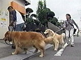  傤̂ ʐ^3