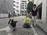 bL[ 傤̂ ʐ^4