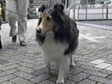 bL[ 傤̂ ʐ^5