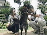 AC 傤̂ ʐ^3