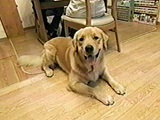 WbN 傤̂ ʐ^2