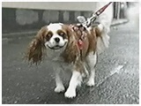 PP 傤̂ ʐ^3