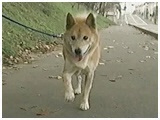 Ⴉۂ 傤̂ ʐ^5