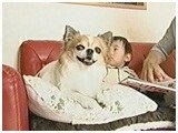 _C` 傤̂ ʐ^5