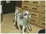  傤̂ ʐ^4