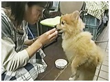ӂ 傤̂ ʐ^3