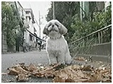 ܂ 傤̂ ʐ^5