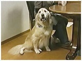 rN^[ 傤̂ ʐ^2