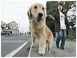 Ȃ̂ 傤̂ ʐ^5