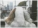 x 傤̂ ʐ^5