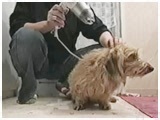 肭 傤̂ ʐ^5