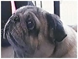 yy 傤̂ ʐ^5