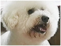 TAMA 傤̂ ʐ^1