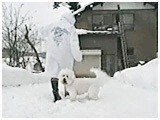 TAMA 傤̂ ʐ^4