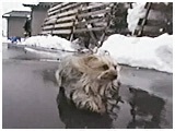 Y 傤̂ ʐ^3