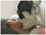  傤̂ ʐ^4