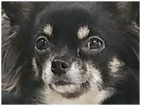 }Jj 傤̂ ʐ^1