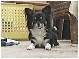 }Jj 傤̂ ʐ^5
