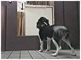  傤̂ ʐ^3