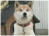 J[ 傤̂ ʐ^2