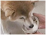 R^ 傤̂ ʐ^5